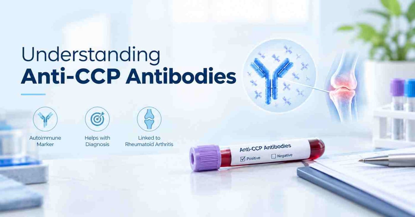 Understanding Anti-CCP Antibodies
